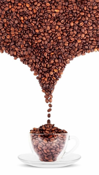 roasted coffee beans, whole bean coffee, coffee beans, dark roast coffee, fresh coffee beans, brand awareness, minimalist, calm, fresh, brown, neutral